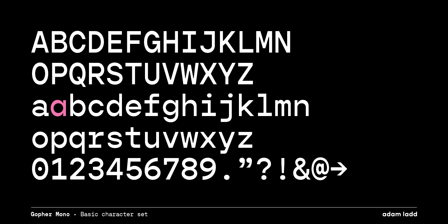 Example font Gopher Mono #10